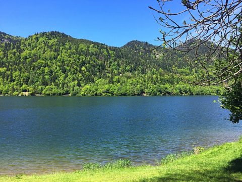 Lac de Kruth Vogezen wielrennen mountainbiken