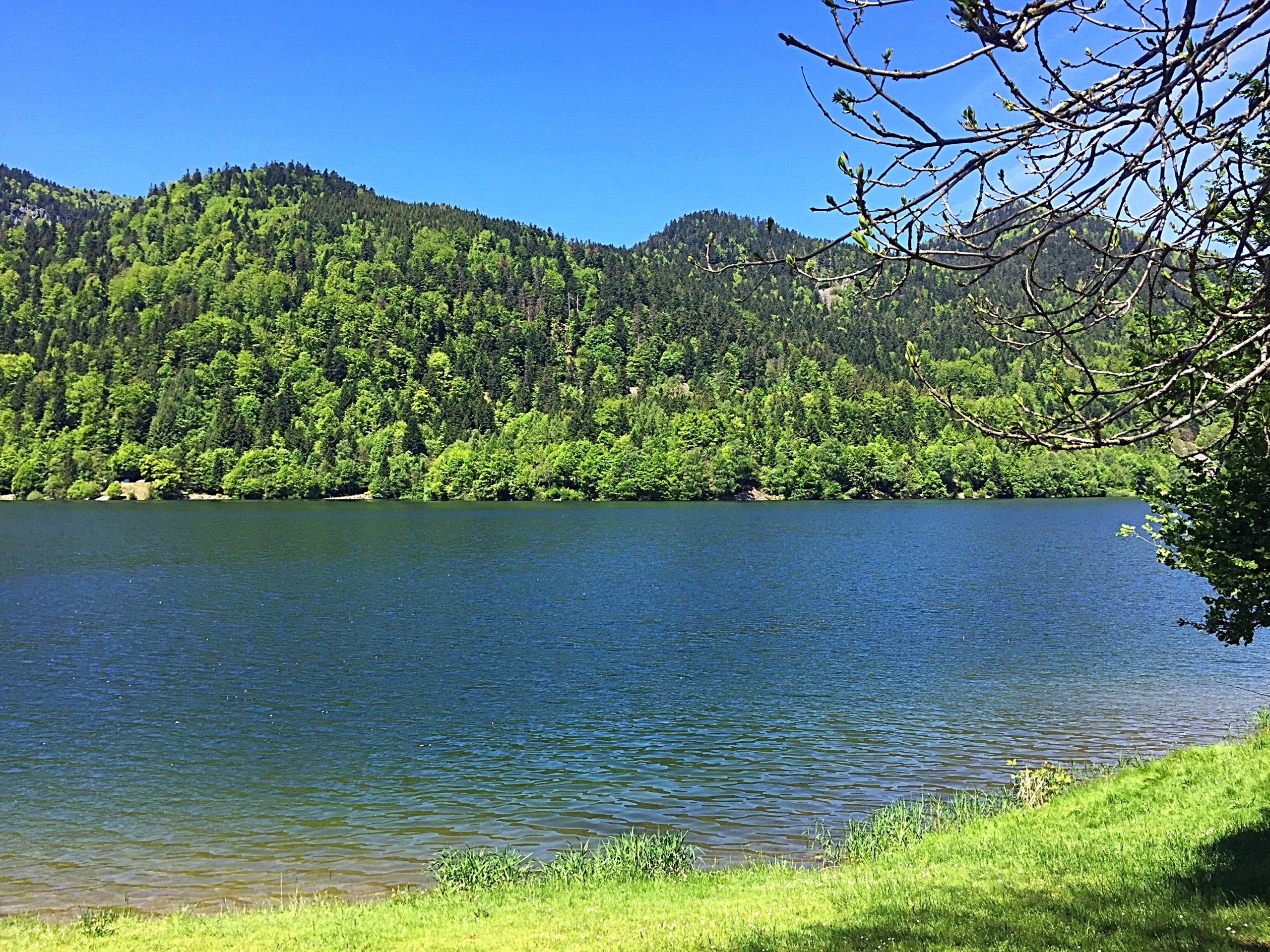 Lac de Kruth Vogezen wielrennen mountainbiken