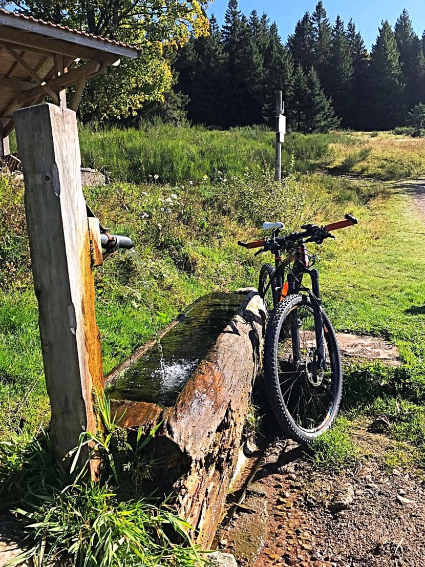 Mountainbike Vogezen La Bresse Natuur