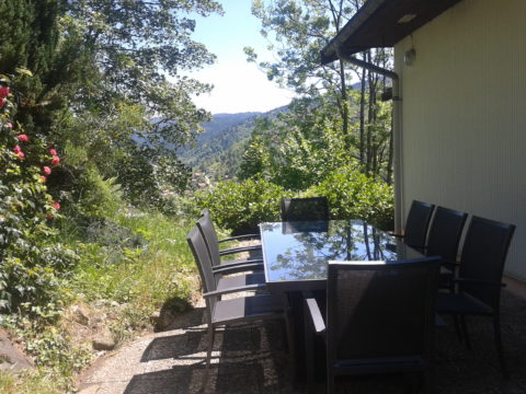 Terras zomer tuin