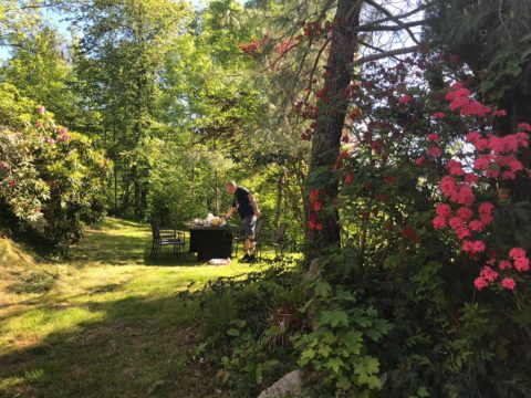 Tuin La Bresse Vogezen fietsen