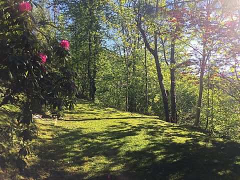 Tuin La Bresse Genieten Natuur