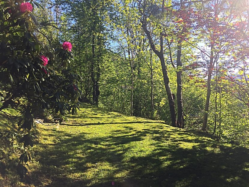 Tuin La Bresse Genieten Natuur