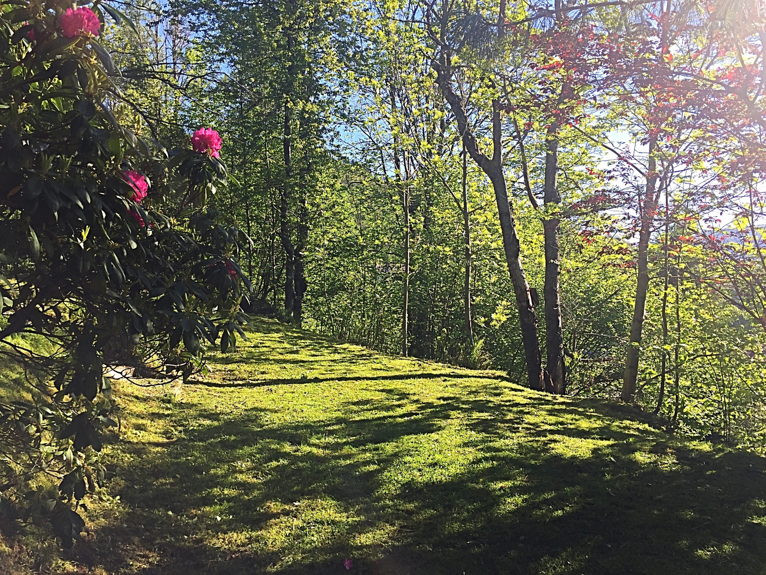 Tuin La Bresse Genieten Natuur
